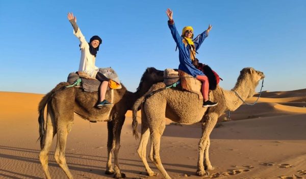 New Year Package With Desert Safari Tour